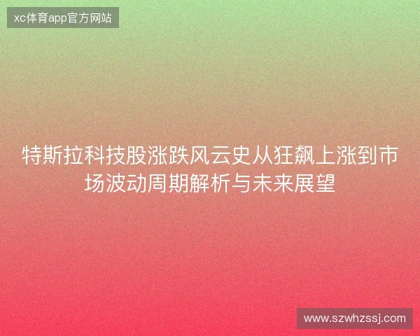特斯拉科技股涨跌风云史从狂飙上涨到市场波动周期解析与未来展望
